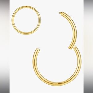 Nose / Cartilage Hoop Earring